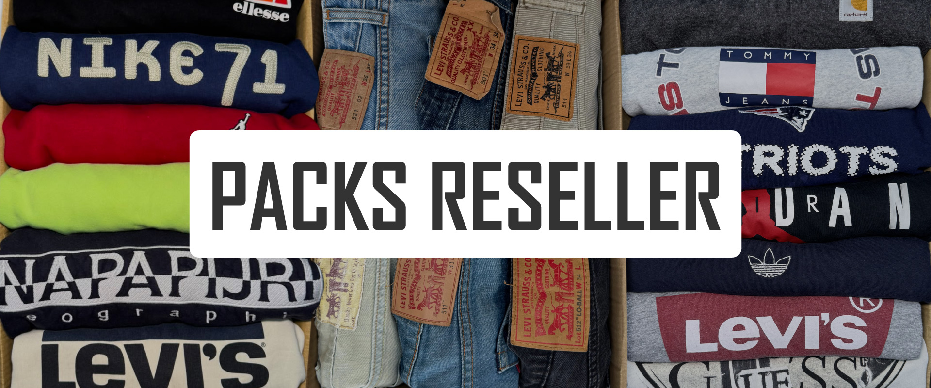 INICIO-RESELLER-1